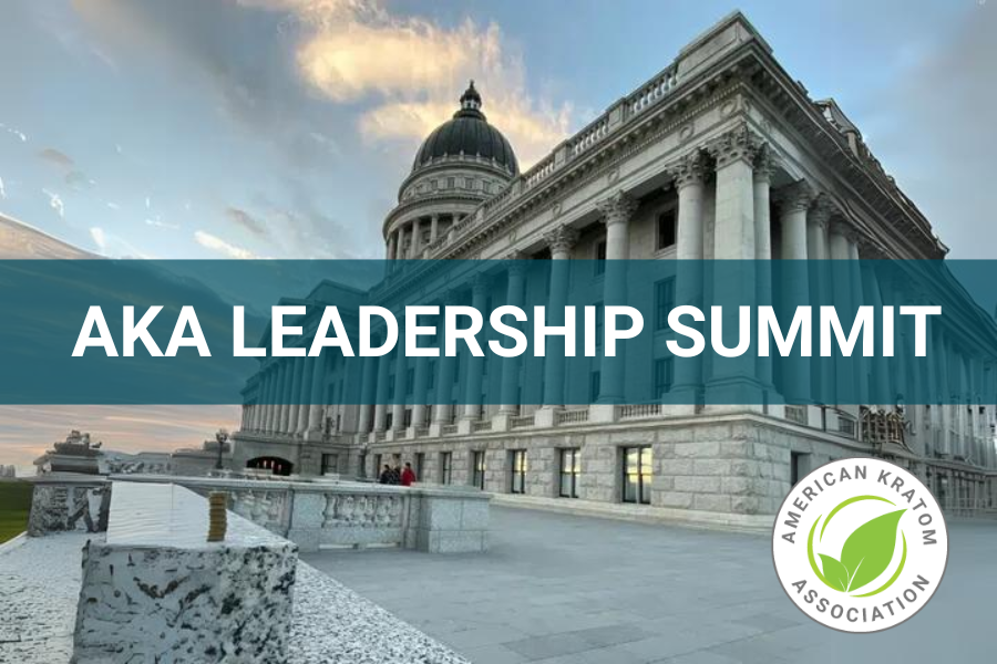 AKA Spring 2024 Leadership Summit in San Diego