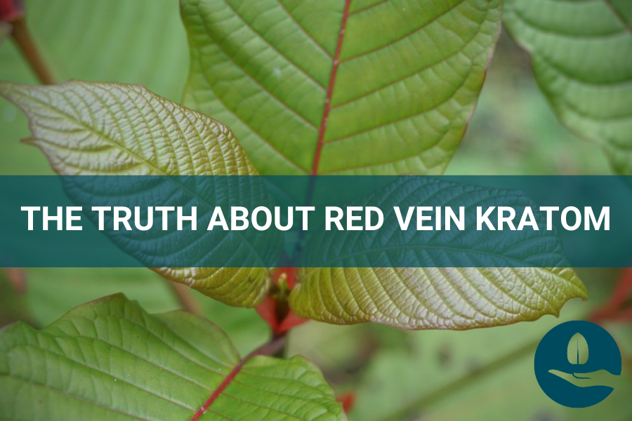 THE TRUTH ABOUT RED VEIN KRATOM