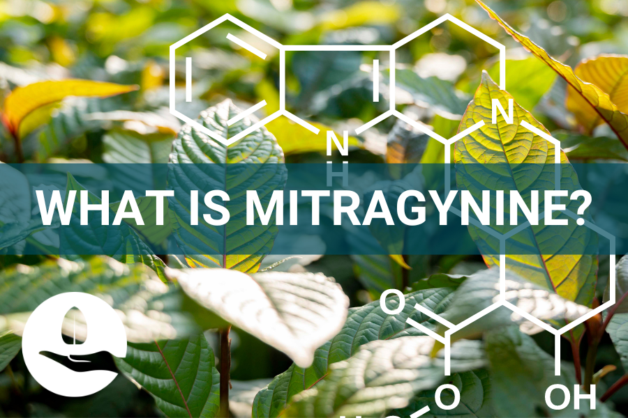 BEST KRATOM: MITRAGYNINE NOT DANGEROUS