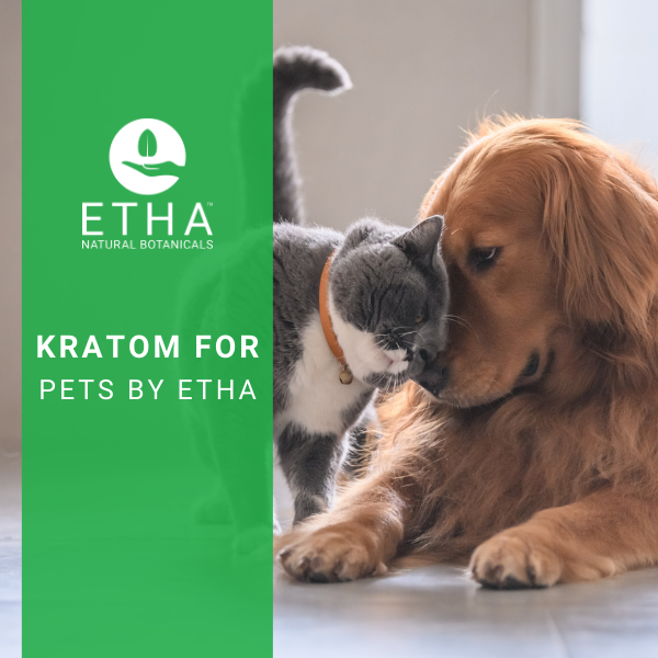 pet kratom