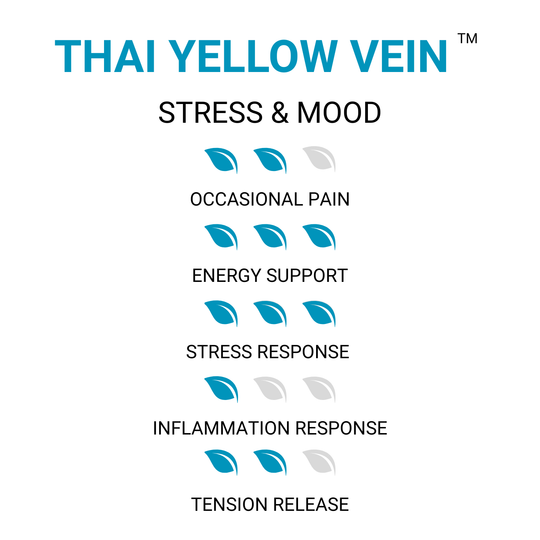 Thai Yellow Pure Vein Kratom - Stress & Mood - ETHA Natural Botanicals