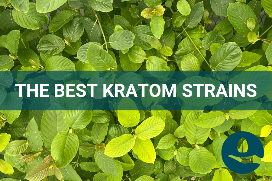 The Best Kratom Strain: Kratom Colors & Names Explained