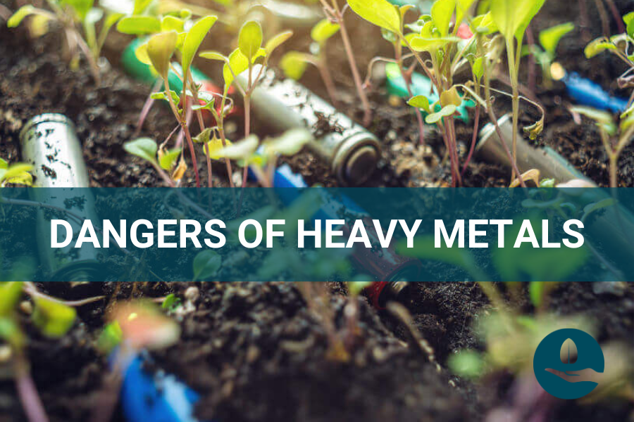 Dangers of Heavy Metals: ETHA Lab Testing for Health & Wellness