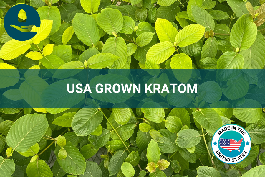 ETHA USA Grown Live Kratom Plants