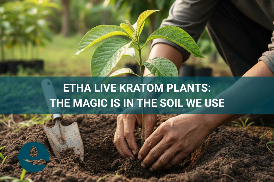ETHA Live Kratom Plants: The Magic is in the Soil We Use