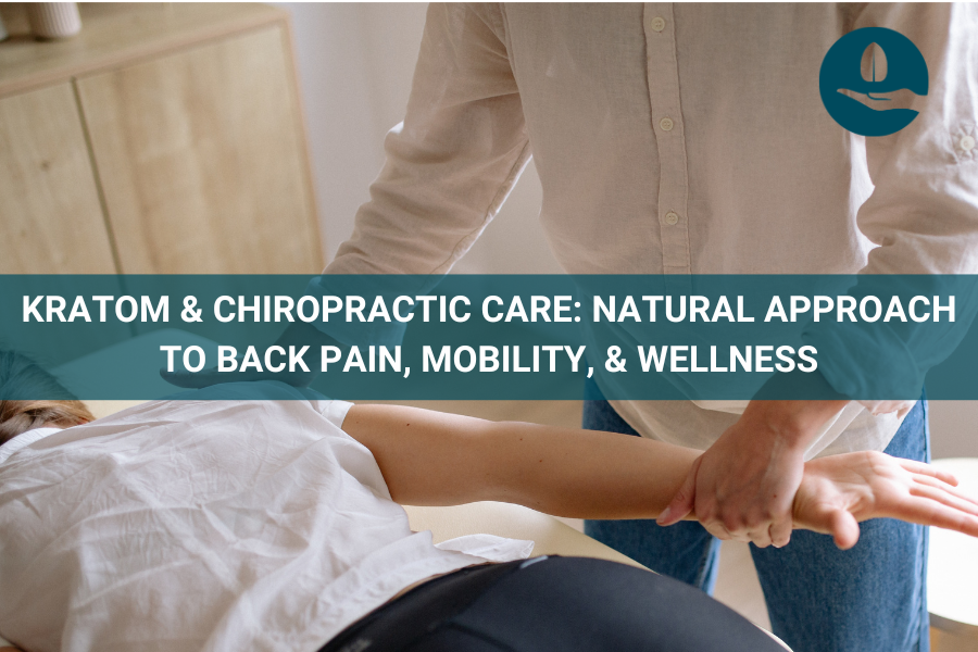 Kratom & Chiropractic Care: Natural Approach to Back Pain, Mobility, & Wellness