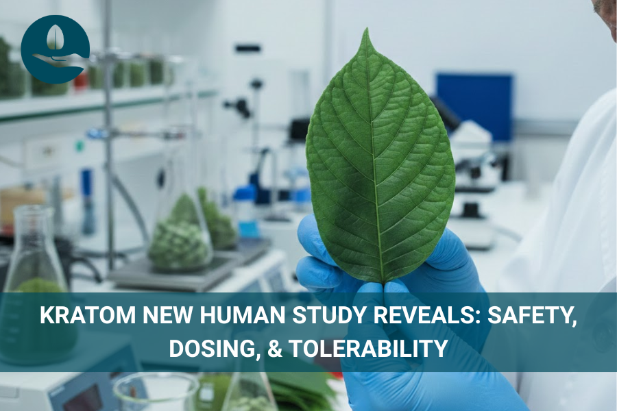 Kratom New Human Study Reveals: Safety, Dosing, & Tolerability