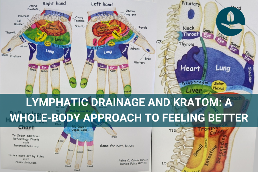 Lymphatic Drainage and Kratom: A Whole-Body Approach to Feeling Better