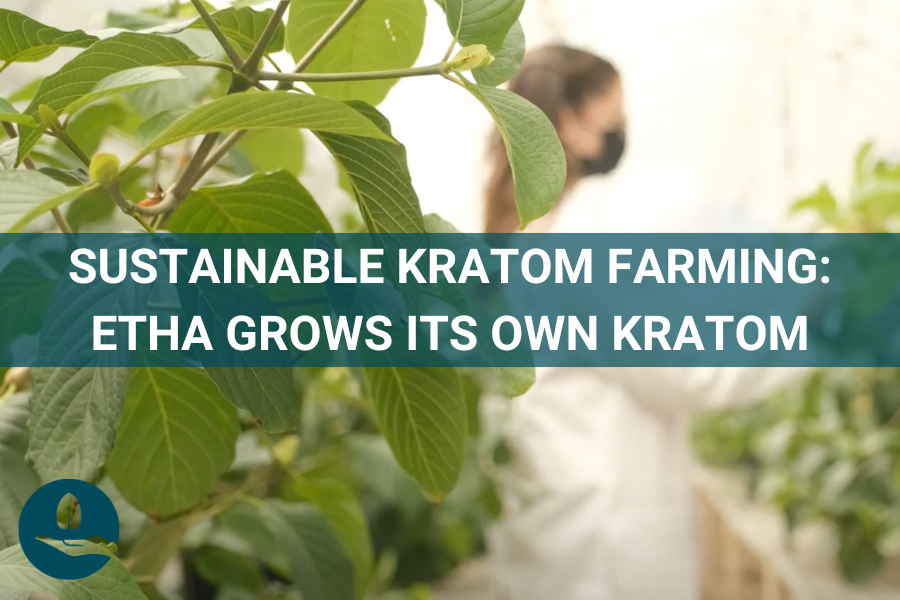 Sustainable Kratom Farming: ETHA Grows its Own Kratom