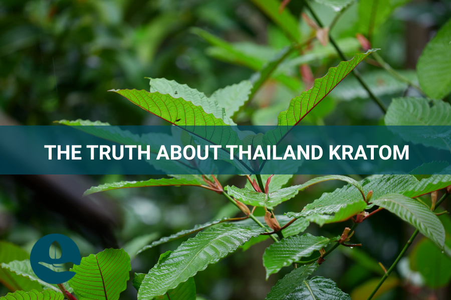 The Truth About Thailand Kratom