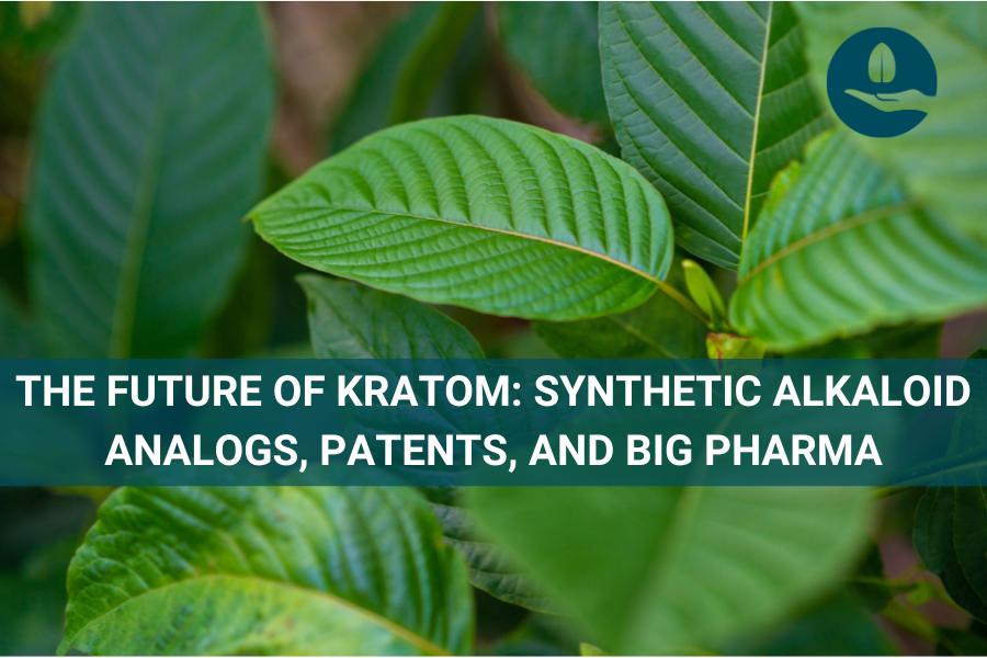 Future of Kratom: Synthetic Alkaloid Analogs, Patents, and Big Pharma