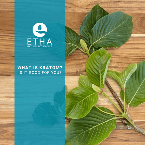 BUY BEST KRATOM: WHAT IS KRATOM? IS IT GOOD FOR YOU?