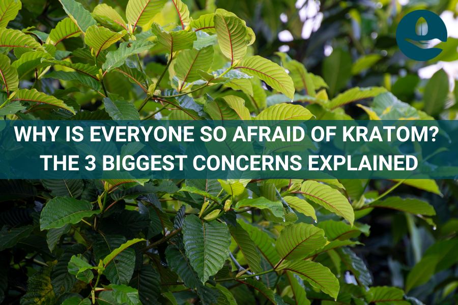 Why Is Everyone So Afraid of Kratom? The 3 Biggest Concerns Explained