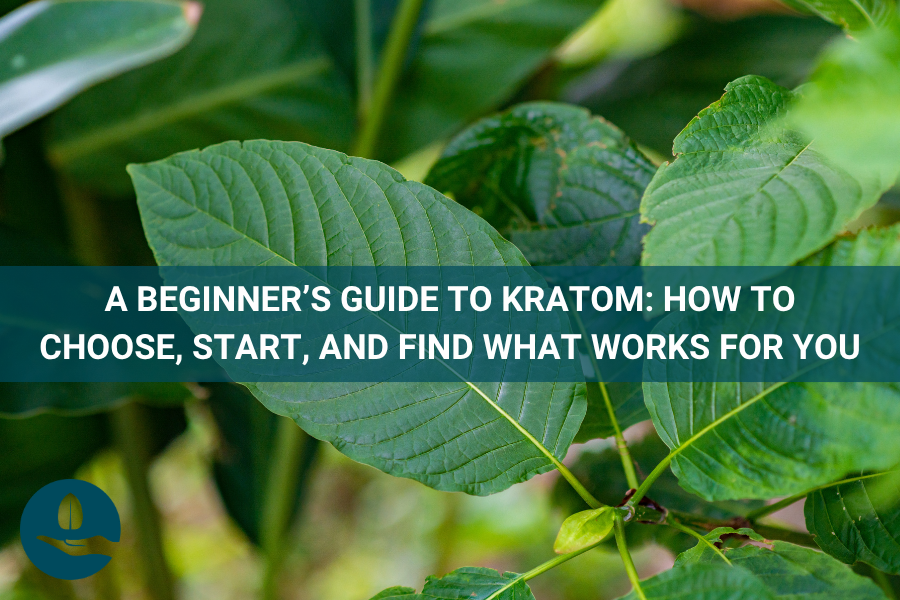 A Beginner’s Guide to Kratom: How to Choose, Start, and Find What Works for You