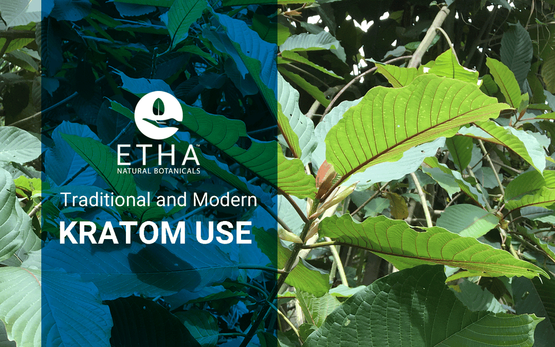 The History of Kratom