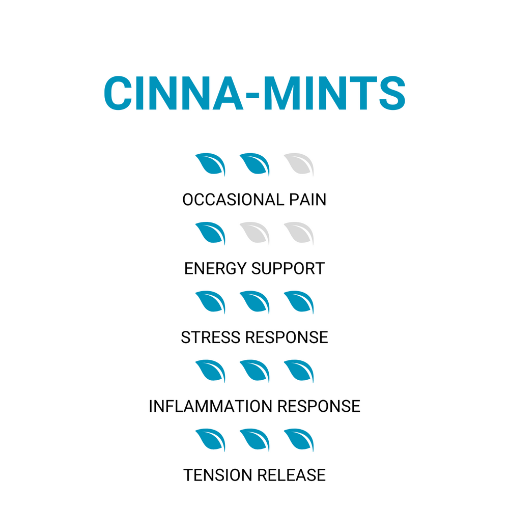 CinnaMints™ Kava - Mood & Calm