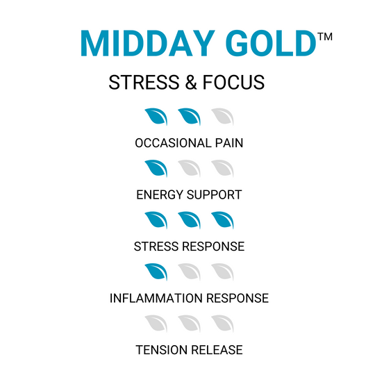 MidDay Gold™ Kratom Tablets - Focus & Stress - ETHA Natural Botanicals