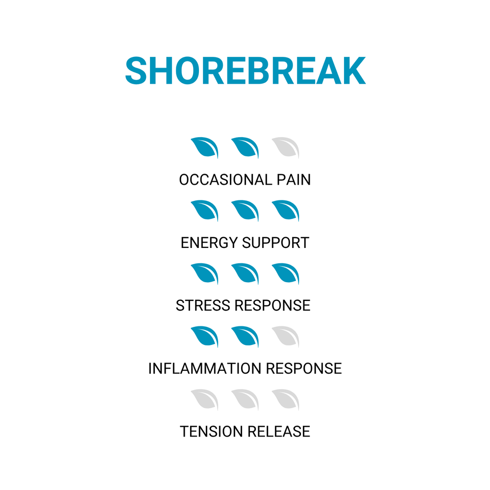 ShoreBreak