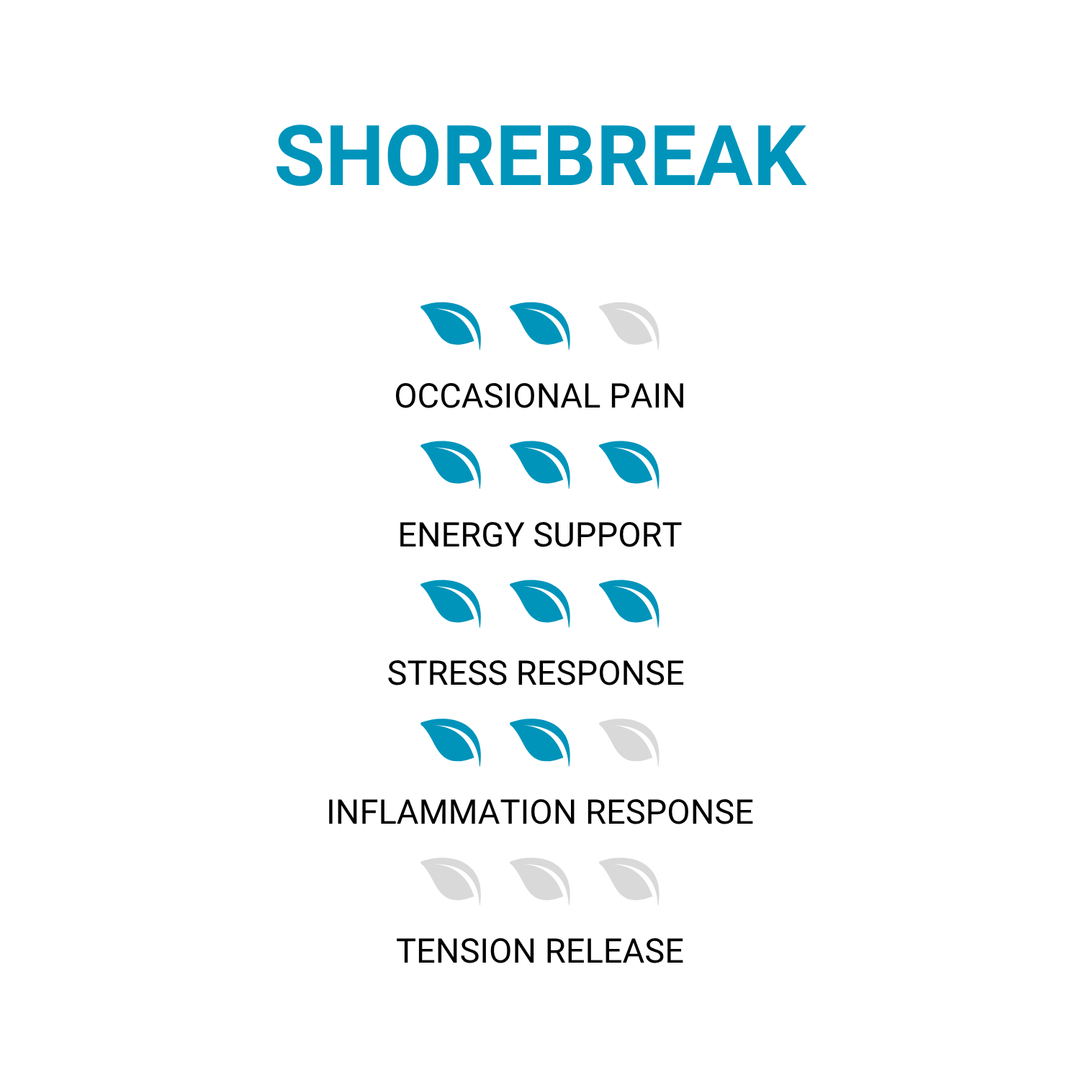 ShoreBreak