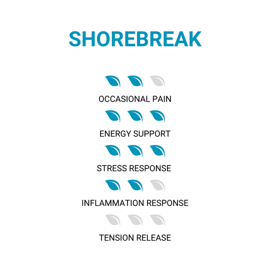 ShoreBreak